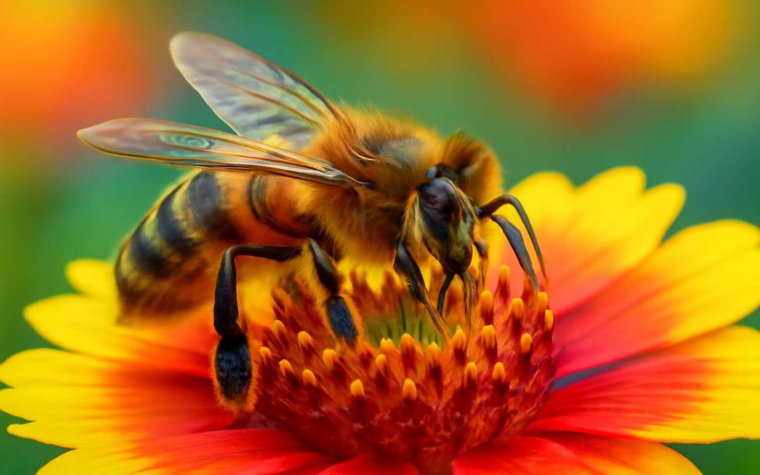 how insects work
