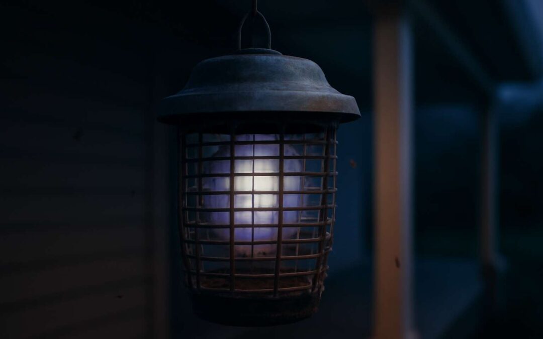 How to Fix a bug zapper quit working and Keep Your Yard Pest-Free